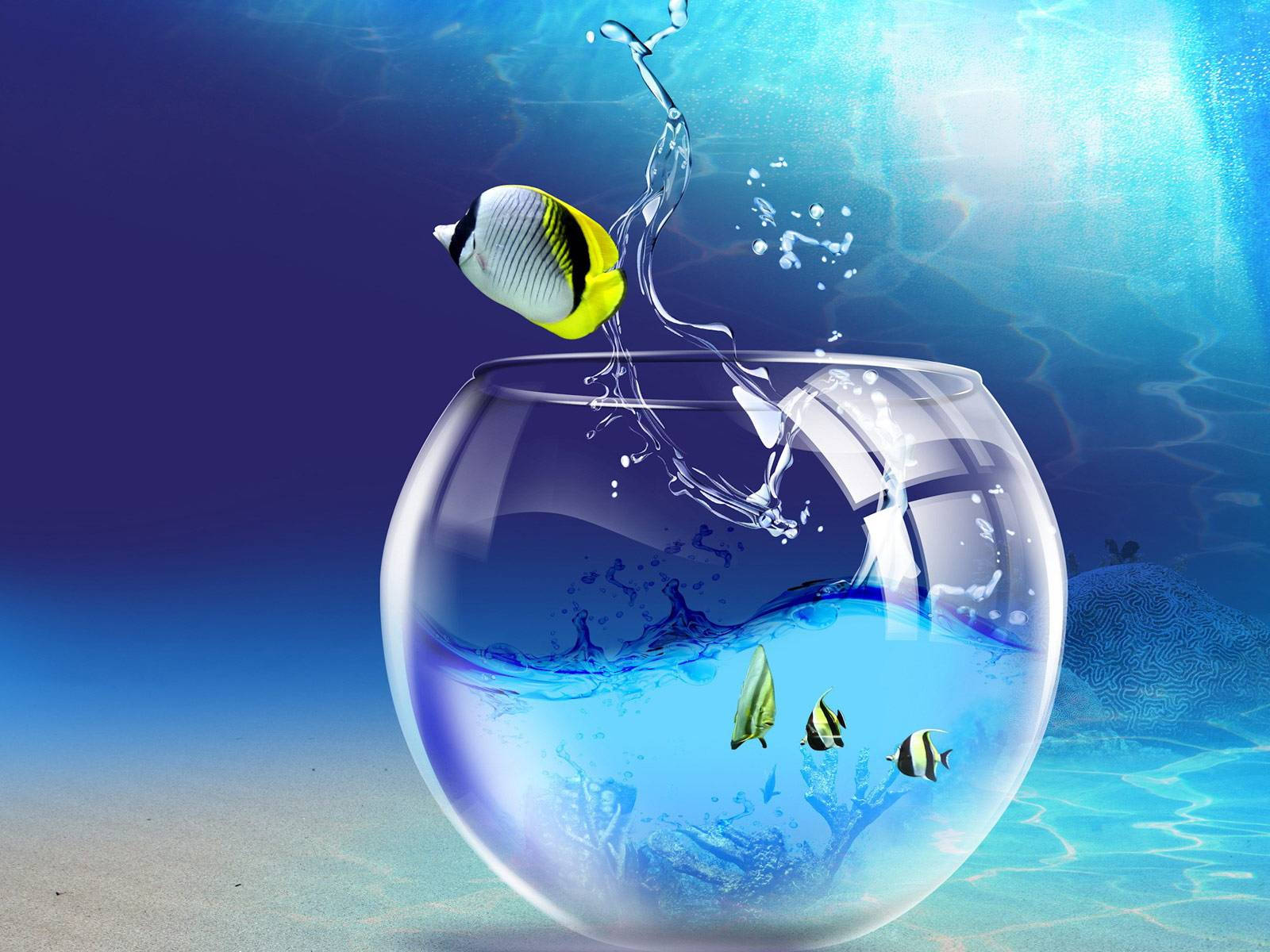 Interactive Tropical Fishbowl