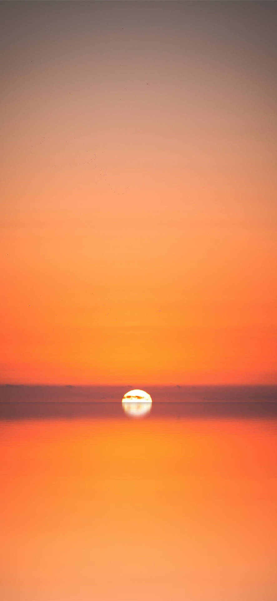 Interesting Sunset Beach Iphone Wallpaper