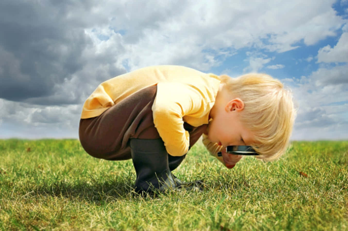 Baby Checking Grass Interesting Pictures