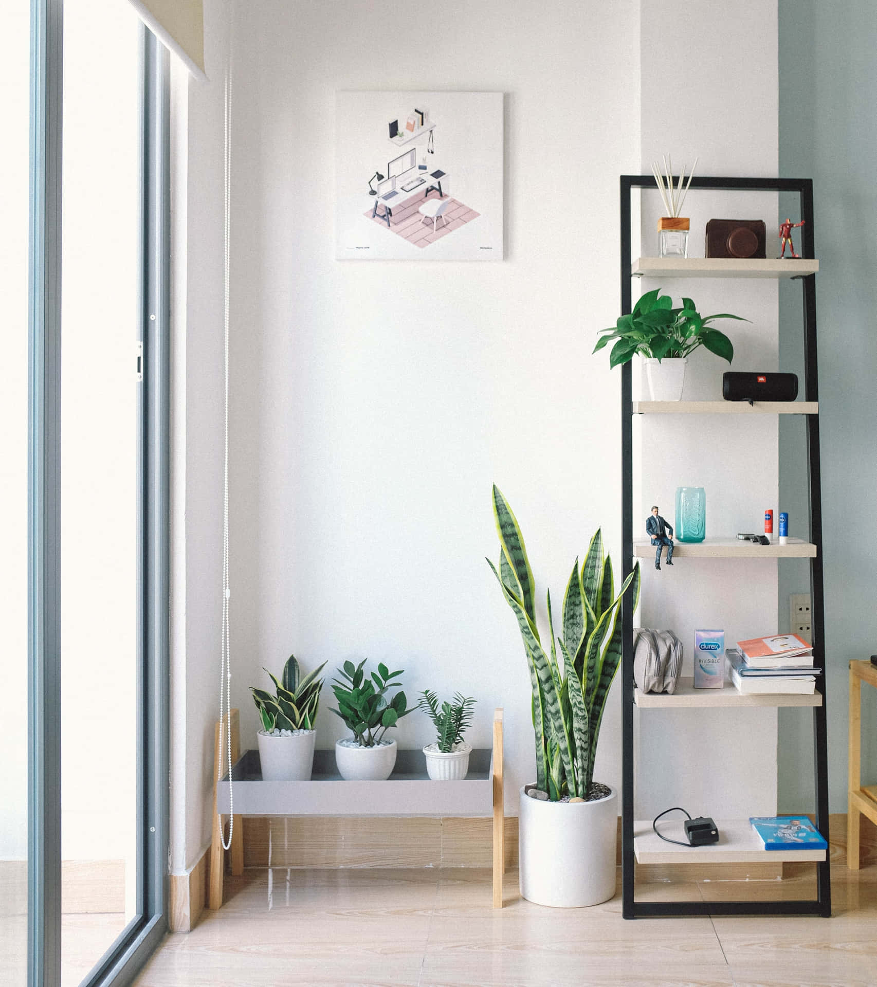 Interior House Plants Decor Wallpaper