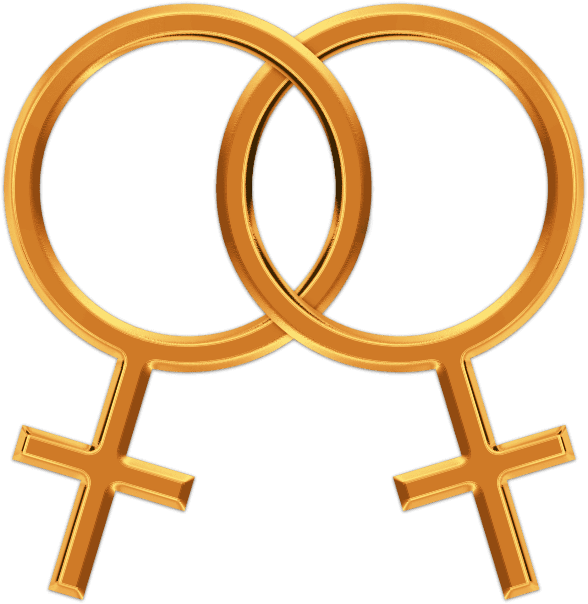 Interlocked Female Symbols Lesbian Pride PNG