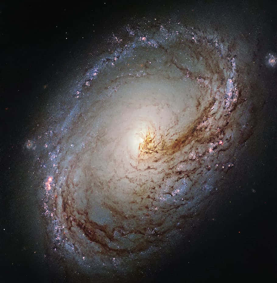 Intermediate Galaxy View Wallpaper