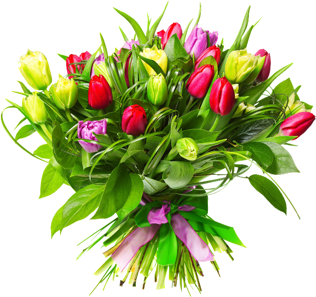 International Womens Day Tulip Bouquet PNG