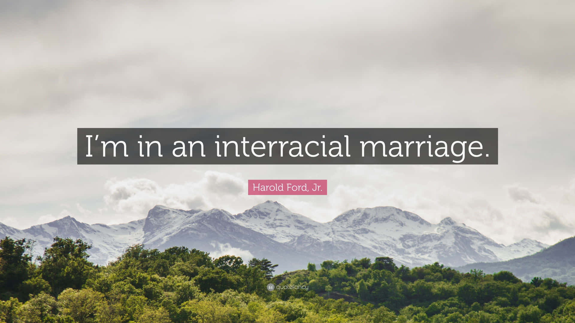 Interracial Marriage Quote Harold Ford Jr Wallpaper