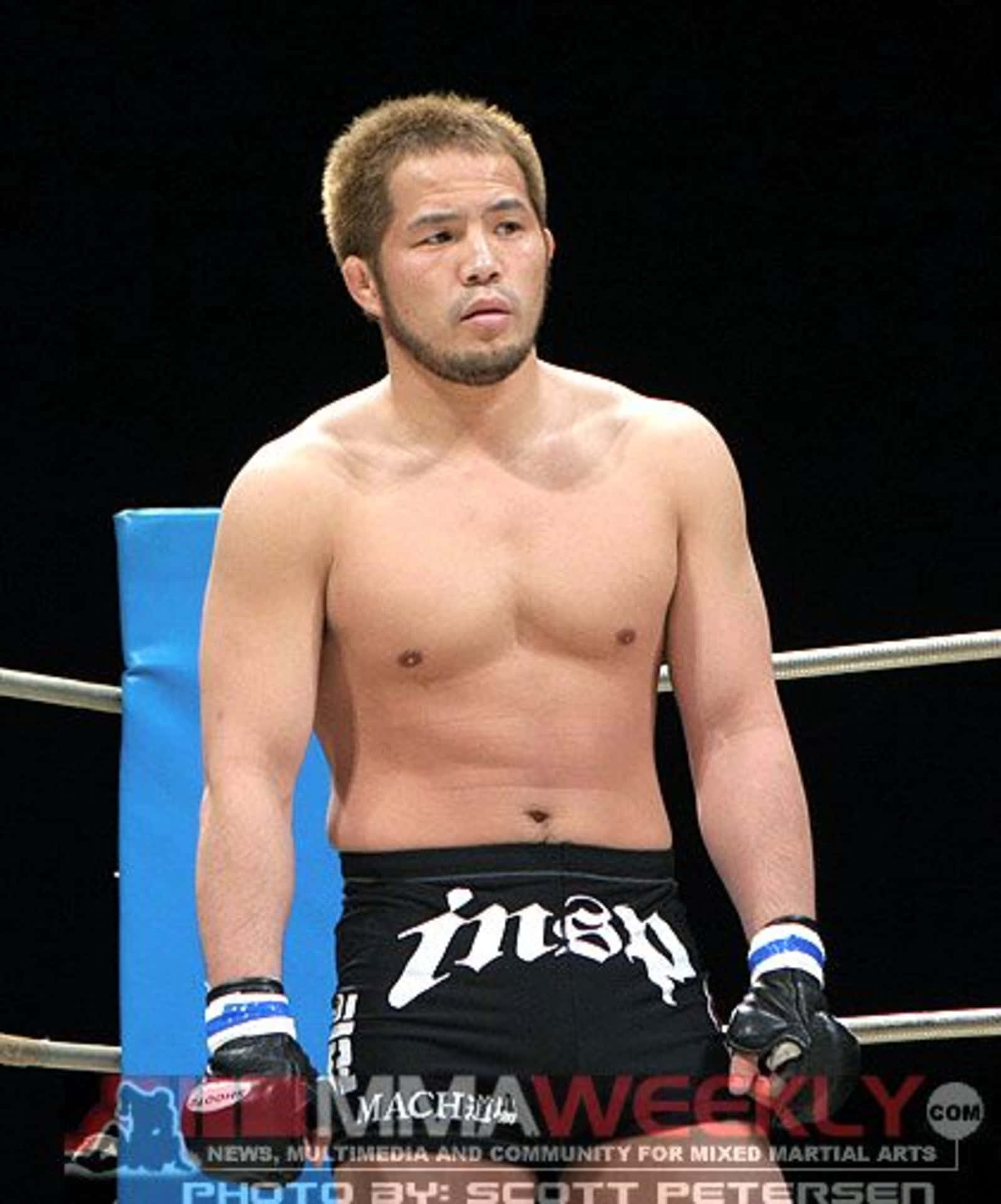 Intimidating Japanese MMA Fighter Hayato Sakurai Wallpaper