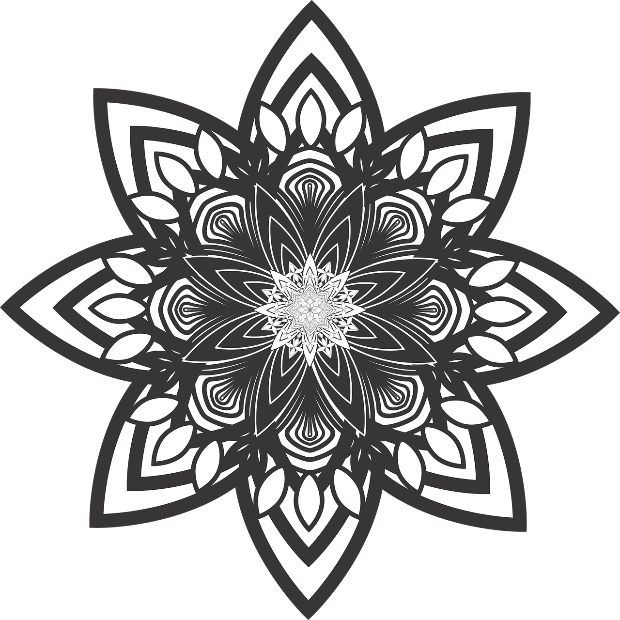 Intricate Blackand White Mandala Design PNG