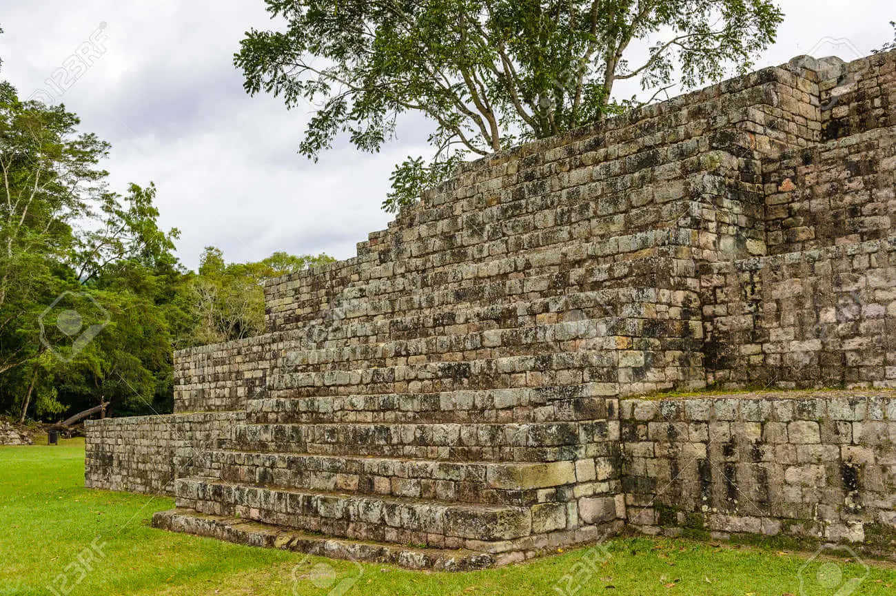 Intricate Carvings Of Mayan Ruins At Copan Wallpaper
