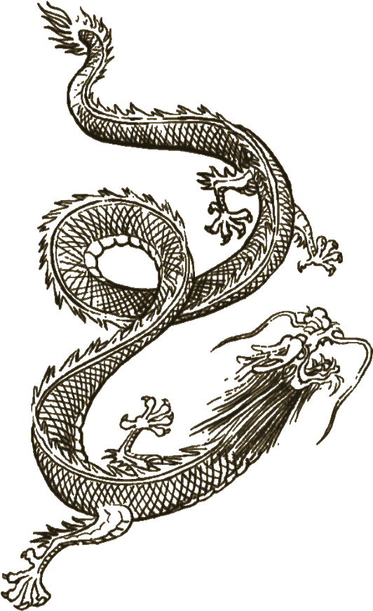 Intricate Dragon Tattoo Design PNG