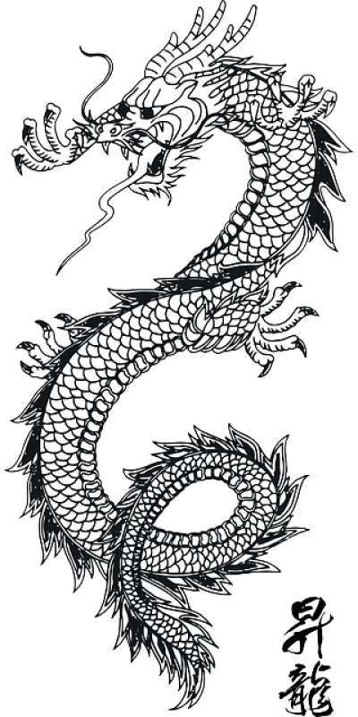 Intricate Dragon Tattoo Design PNG