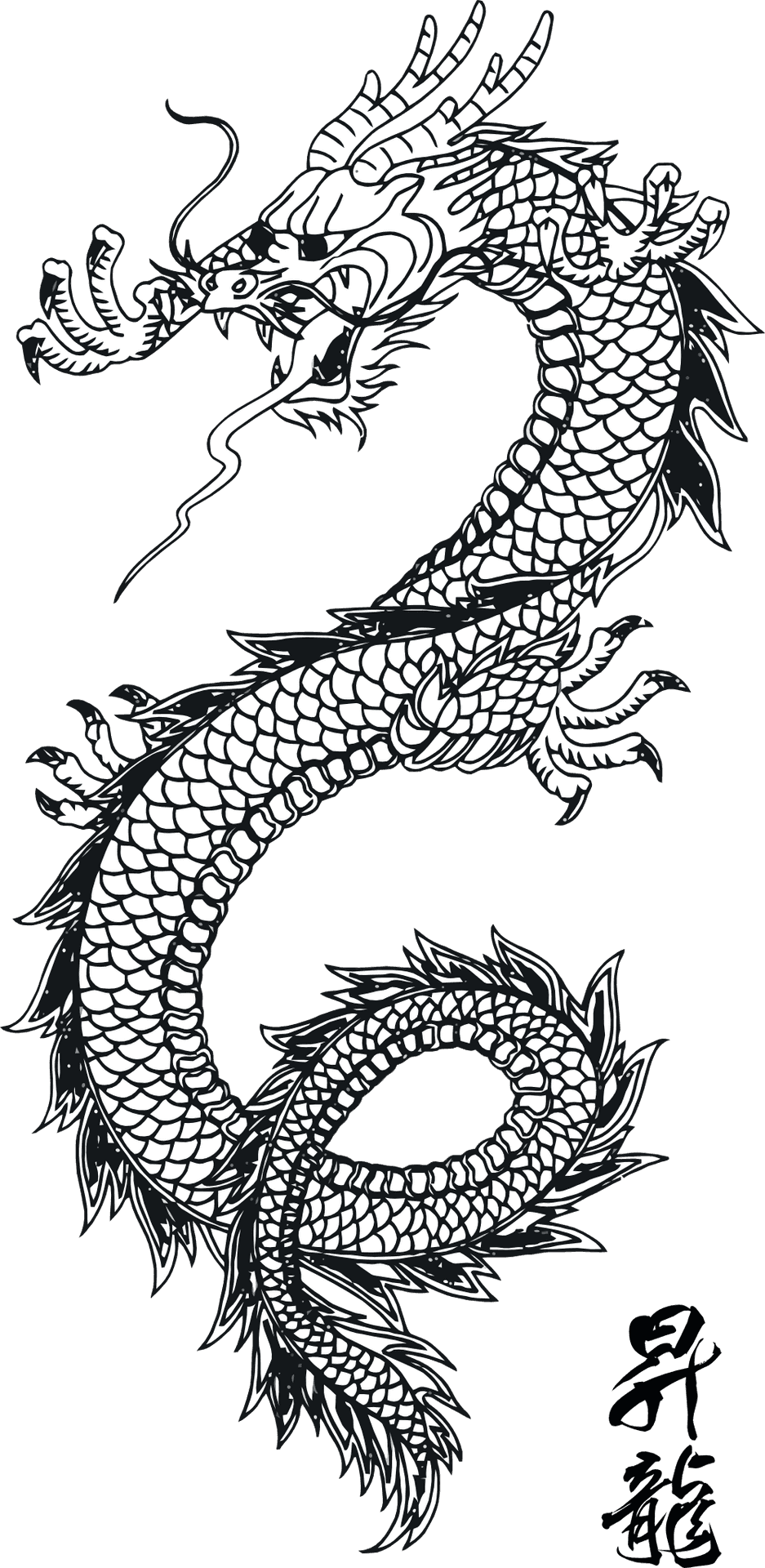Intricate Dragon Tattoo Design PNG
