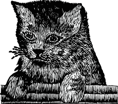 Intricate Kitten Sketch PNG