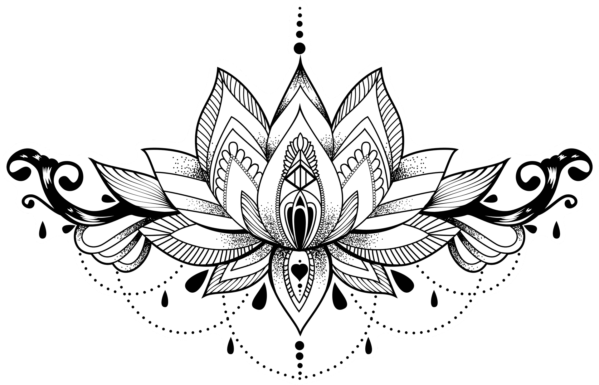 Intricate Lotus Flower Outline PNG