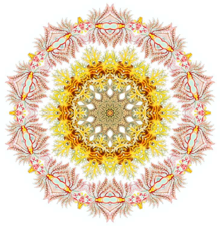 Intricate Mandala Pattern Sticker PNG