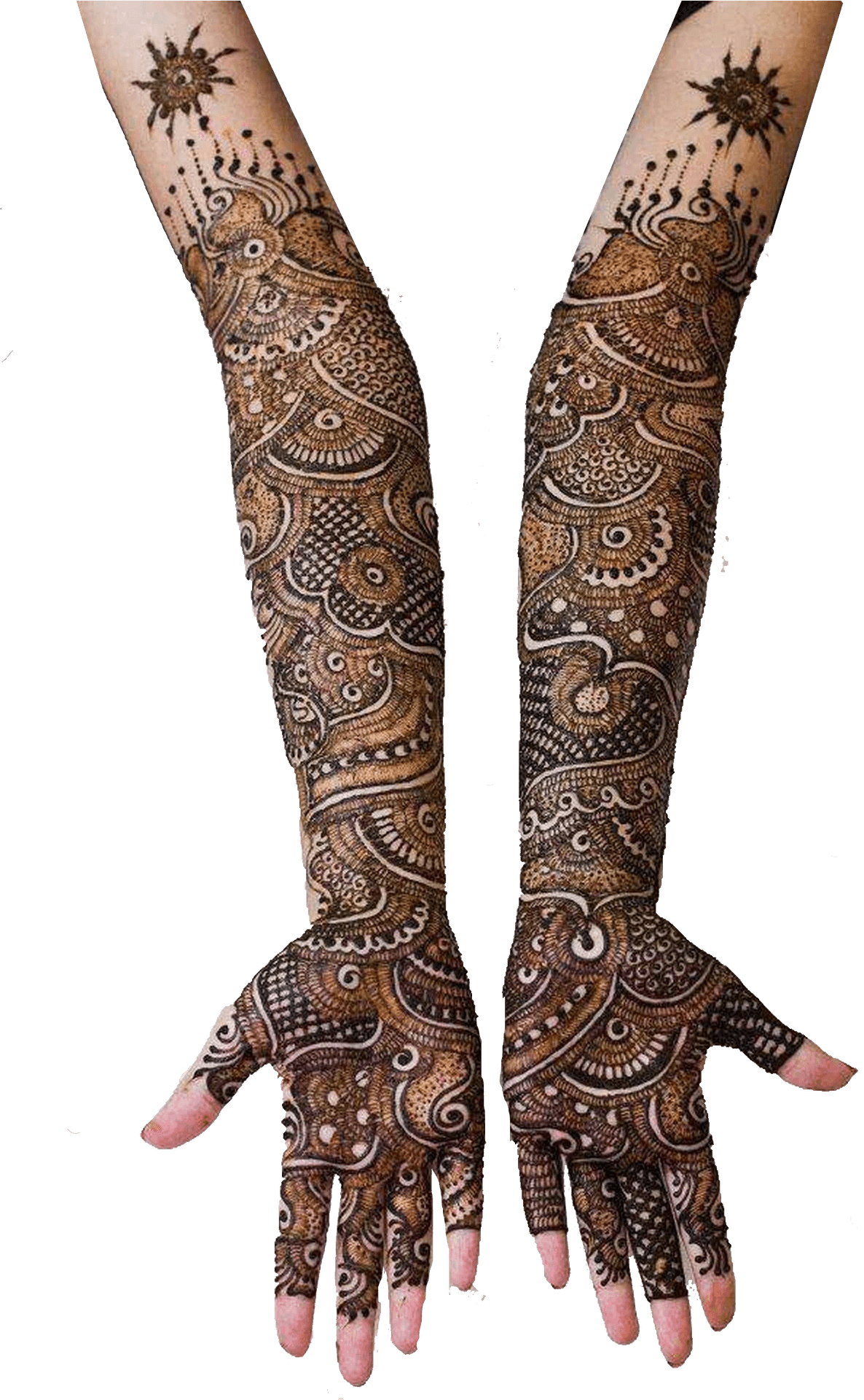 Intricate Mehndi Design Arms PNG