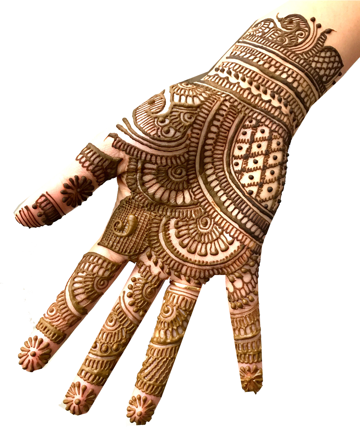 Intricate Mehndi Designon Hand PNG