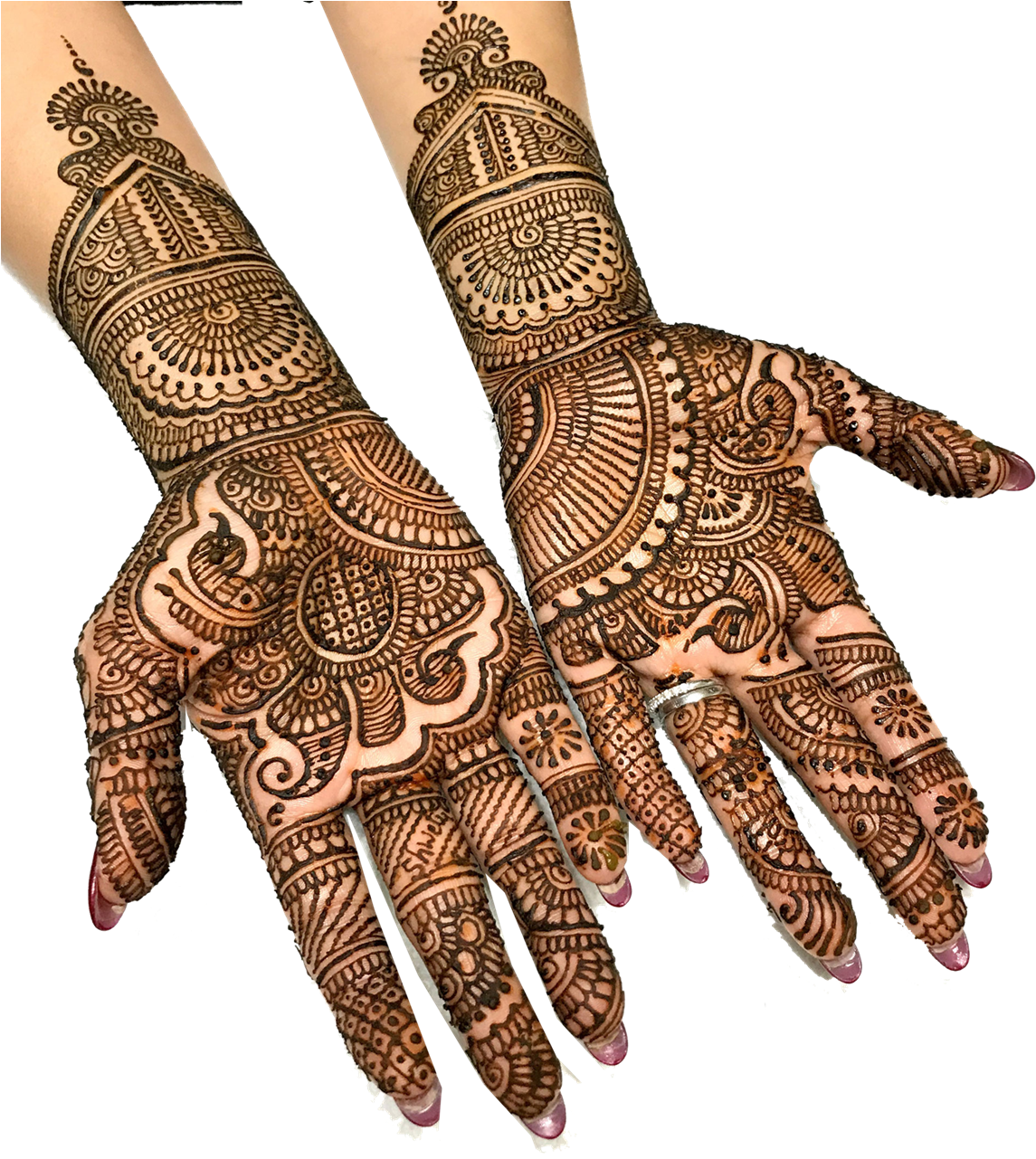 Intricate Mehndi Designon Hands PNG