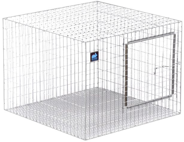 Intricate Metal Cage Structure PNG