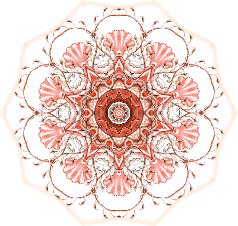 Intricate Red Mandala Pattern.png PNG
