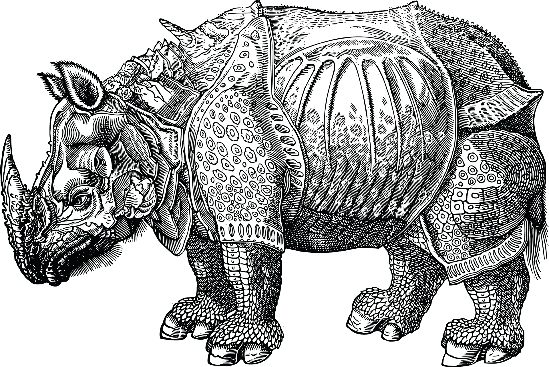 Intricate Rhinoceros Illustration PNG
