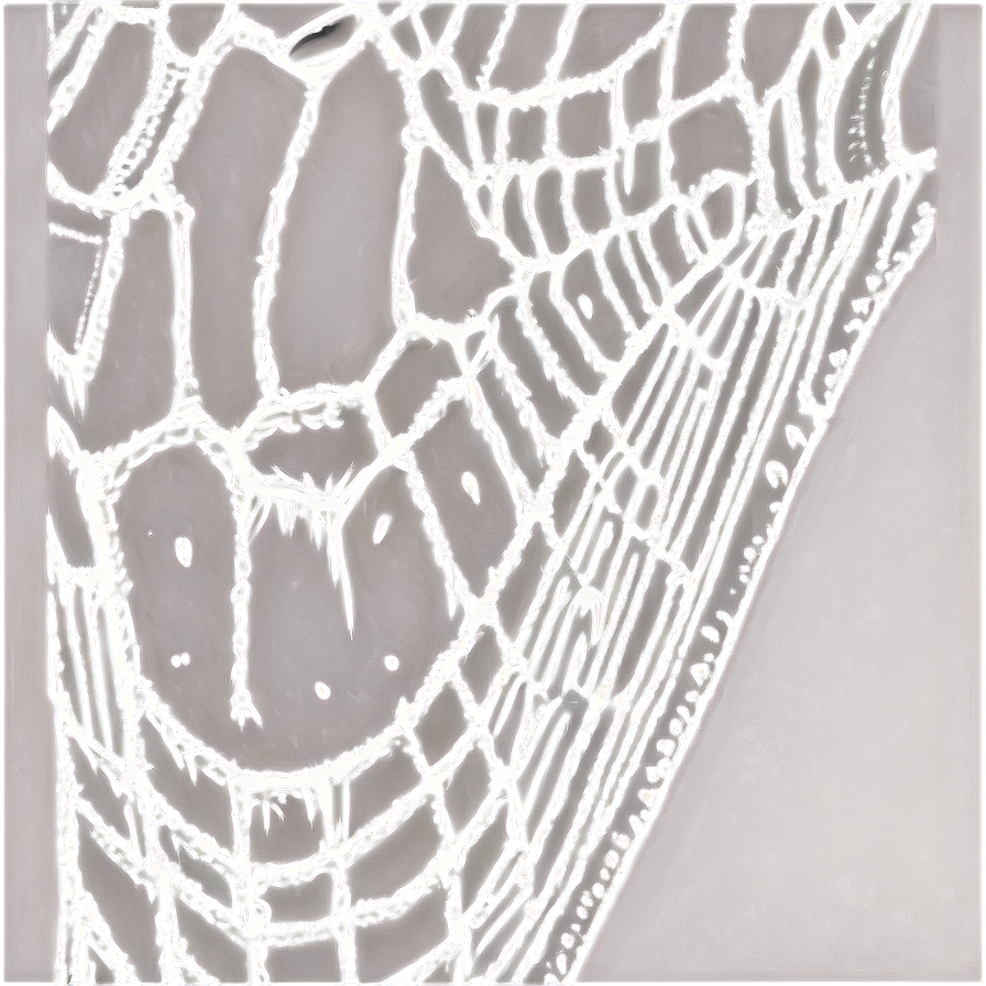 Intricate Spider Web Artwork PNG