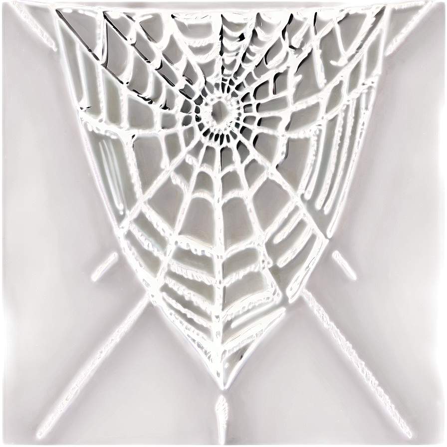 Intricate Spider Web Artwork PNG