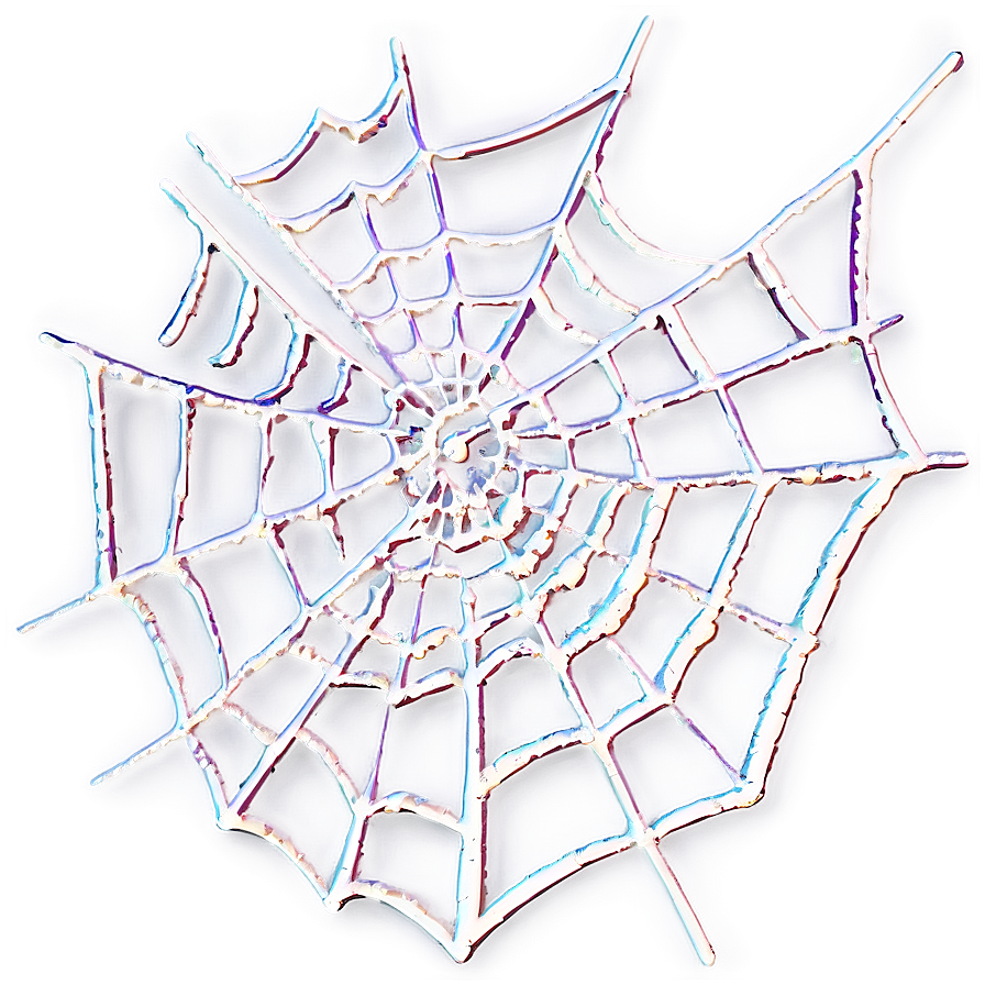 Intricate Spider Web Artwork PNG