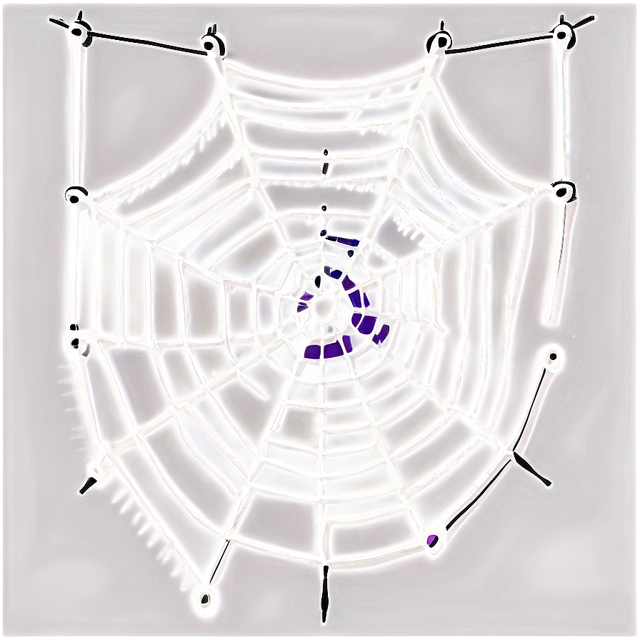 Intricate Spider Web Artwork PNG