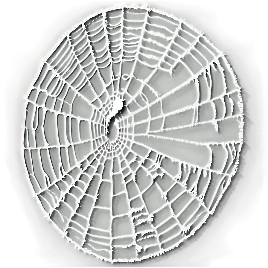 Intricate Spider Web Artwork PNG