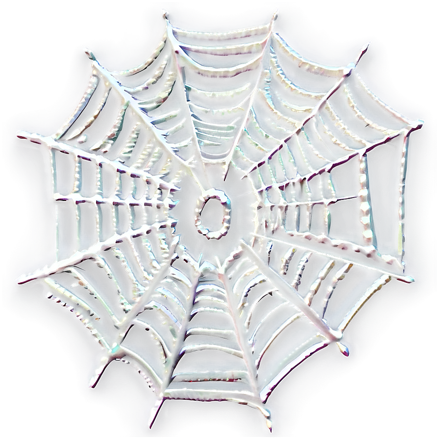 Intricate Spider Web Artwork PNG