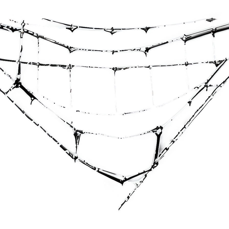 Intricate Spider Web Artwork PNG