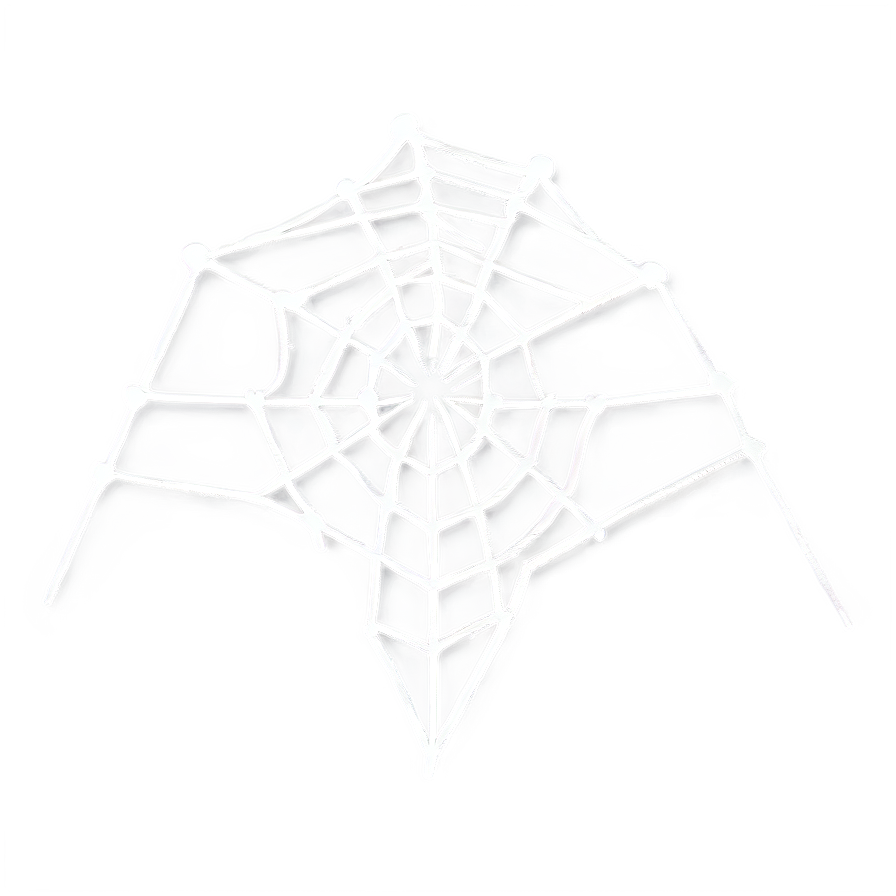 Intricate Spider Web Artwork PNG