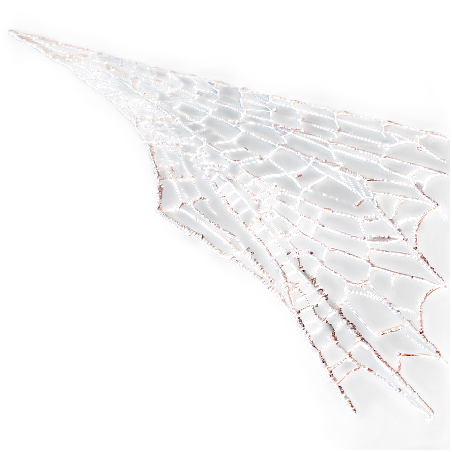 Intricate Spider Web Closeup PNG