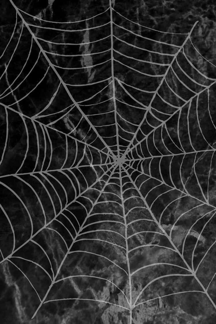 Intricate Spider Web Dark Background Wallpaper
