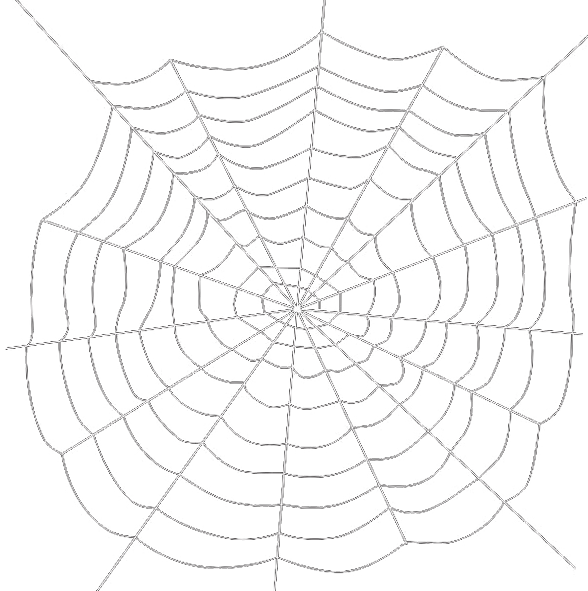 Intricate Spider Web Design PNG
