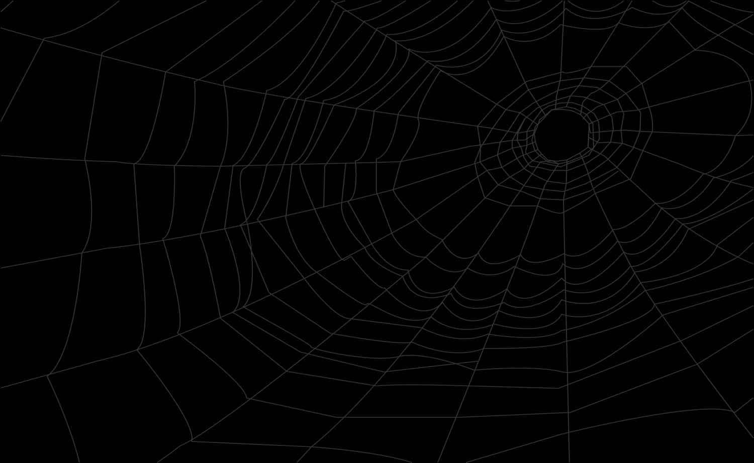 Intricate Spider Web Design PNG