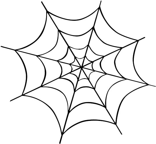 Intricate Spider Web Drawing PNG