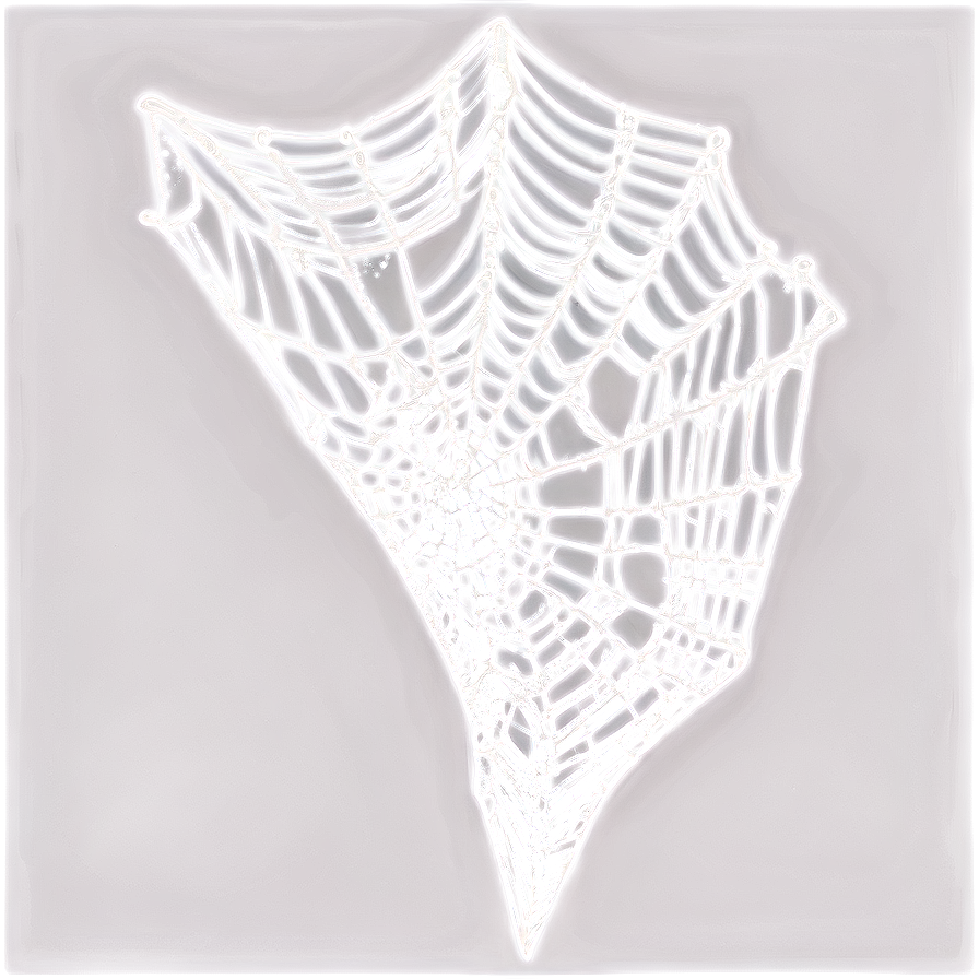 Intricate Spider Web Drawing PNG