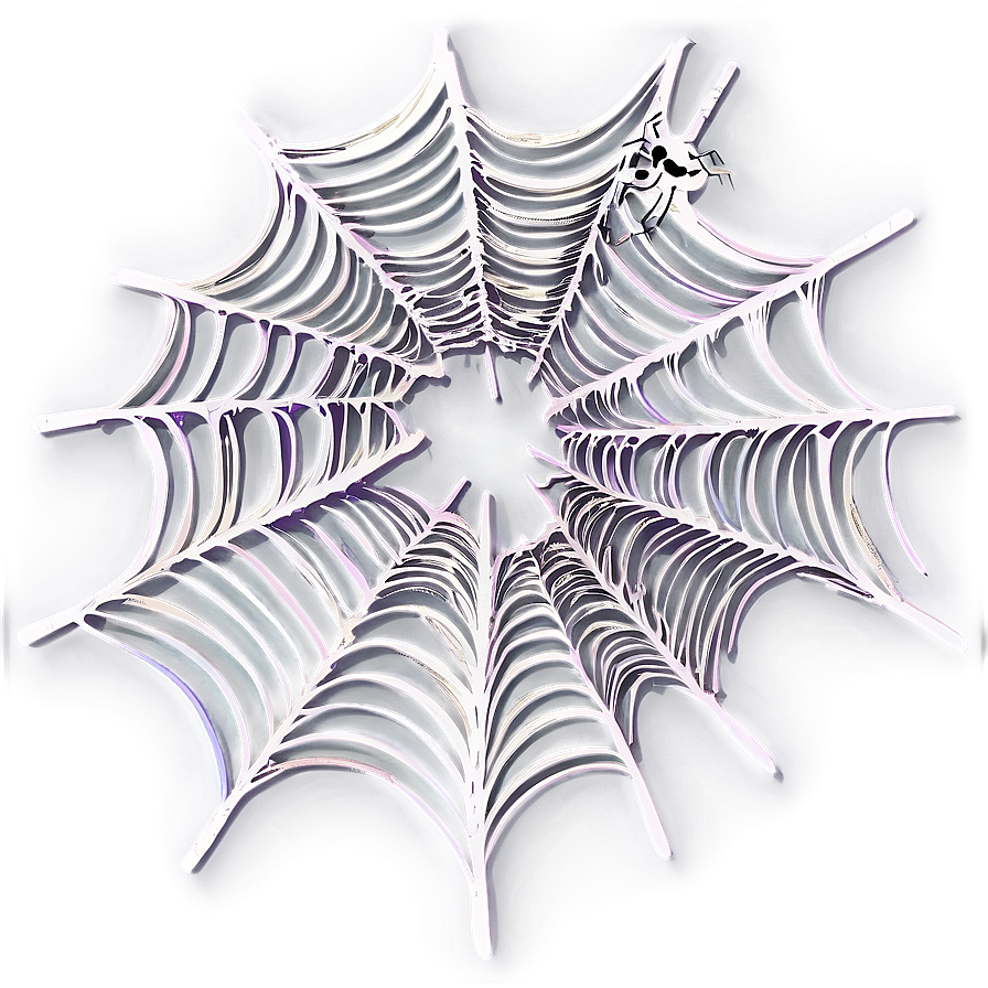 Intricate Spider Web Drawing Png 05042024 PNG