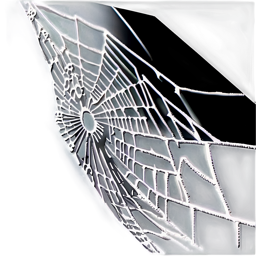 Intricate Spider Web Negative Effect PNG