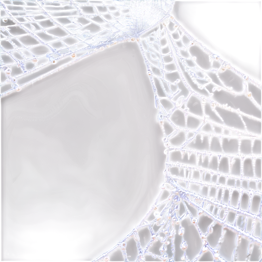 Intricate Spider Web Negative Effect PNG