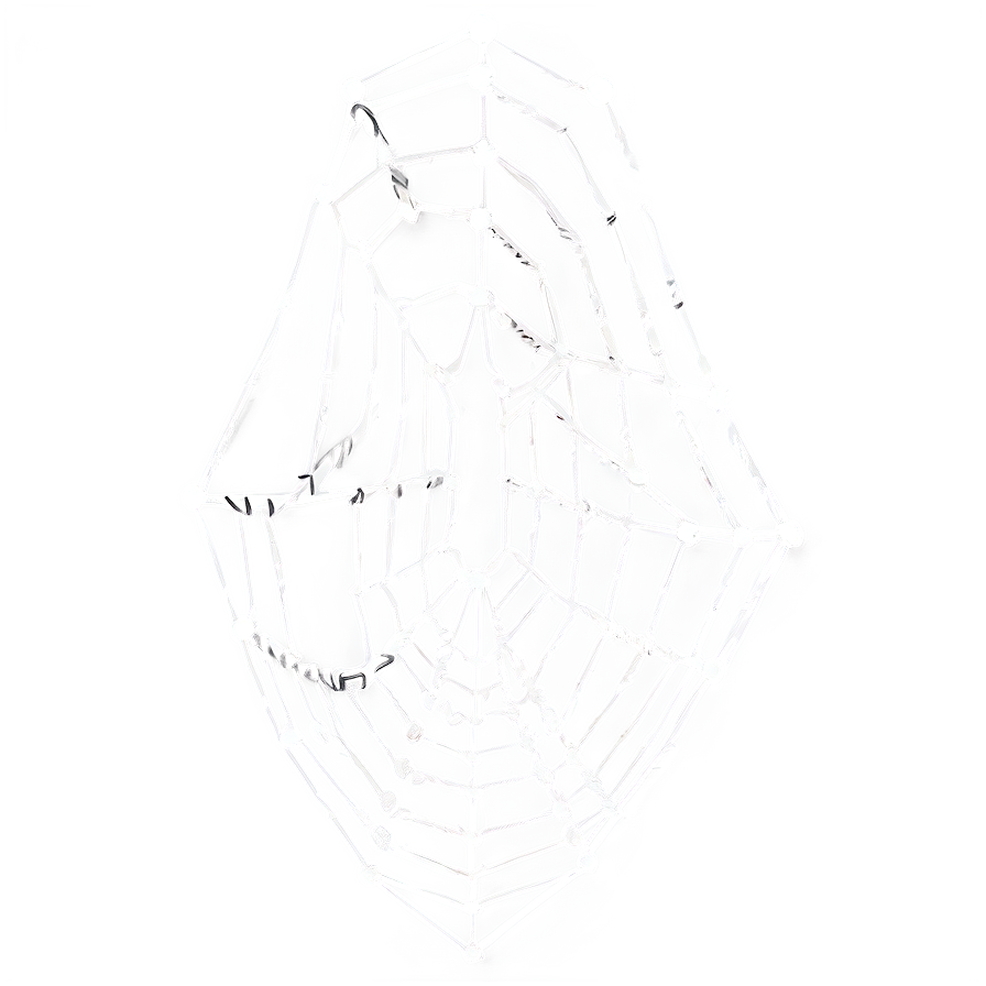 Intricate Spider Web Sketch PNG