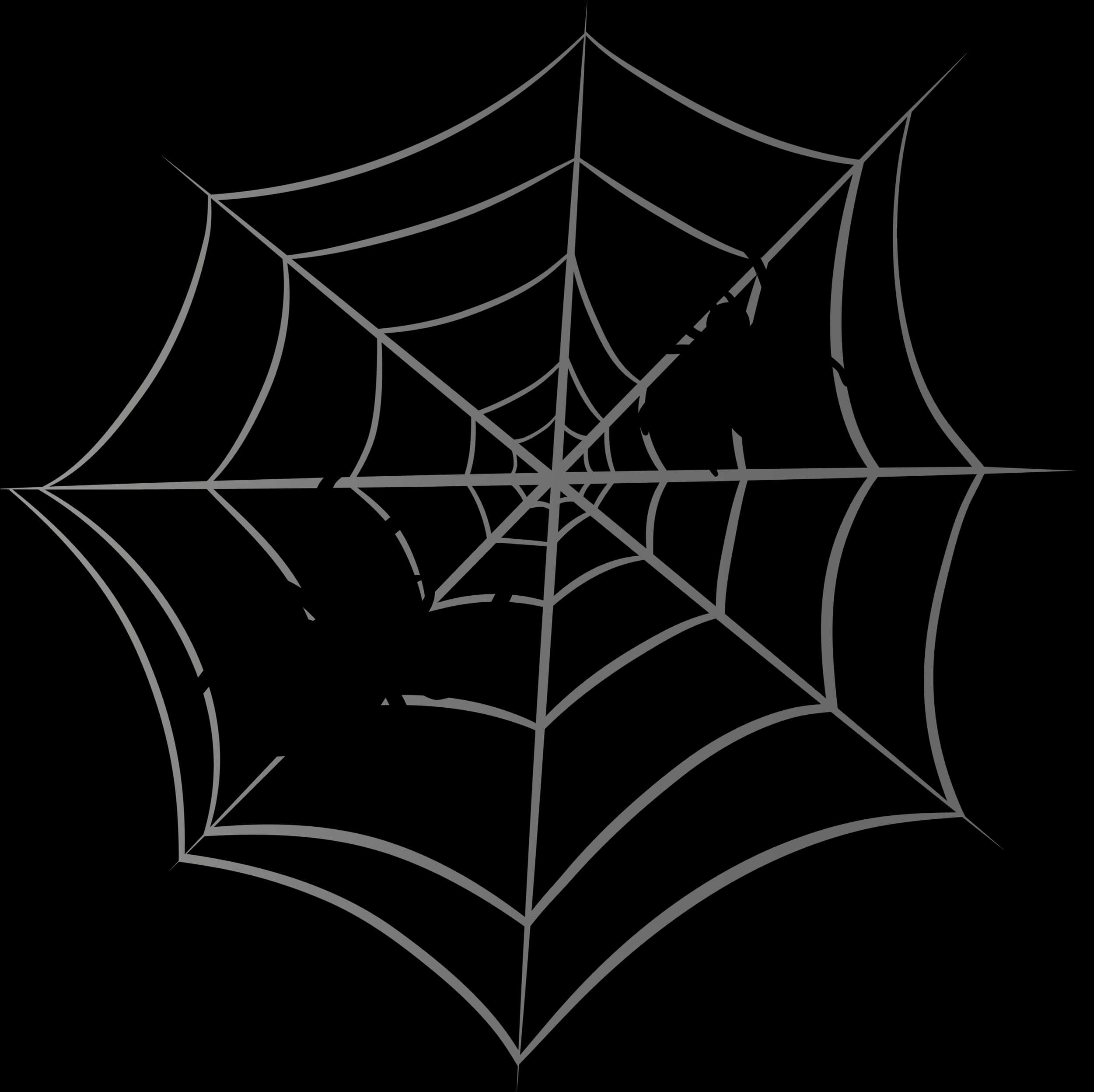 Intricate Spider Webon Black Background PNG