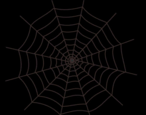 Intricate Spider Webon Dark Background PNG
