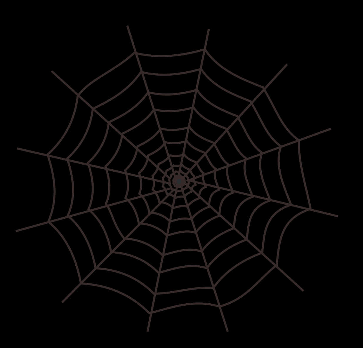 Intricate Spider Webon Dark Background PNG