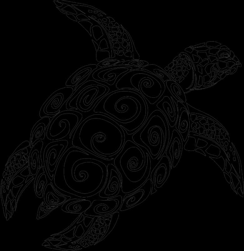 Intricate Turtle Design PNG