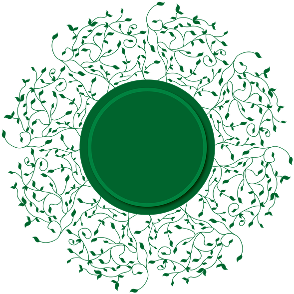 Intricate Vine Floral Design Outline.png PNG