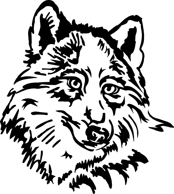 Intricate Wolf Silhouette Graphic PNG