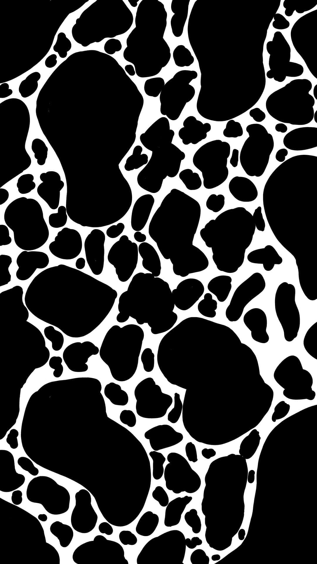 Intriguing Black And White Cow Print