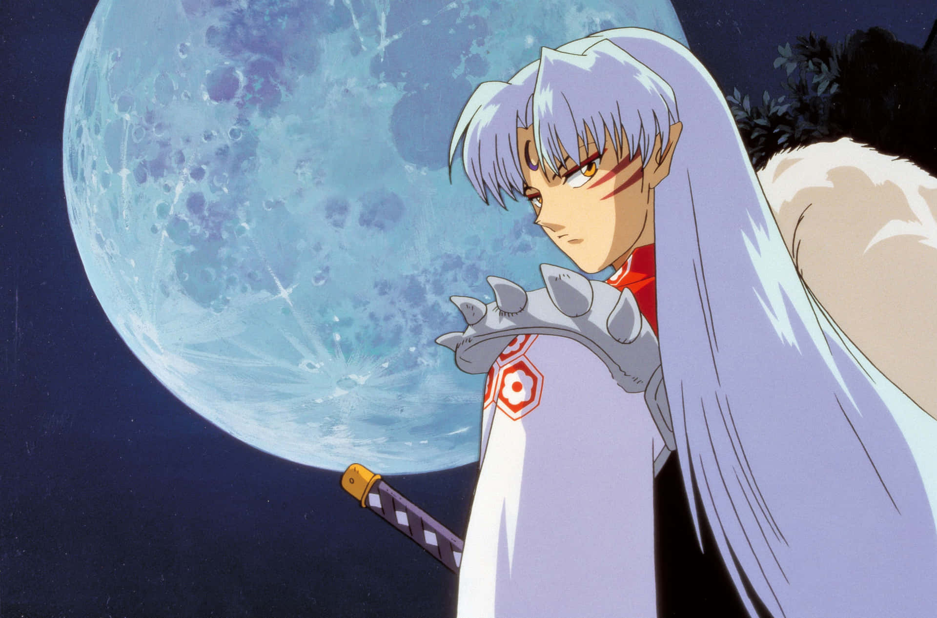 Inuyasha and Sesshomaru standing side by side in an intense moment. Wallpaper