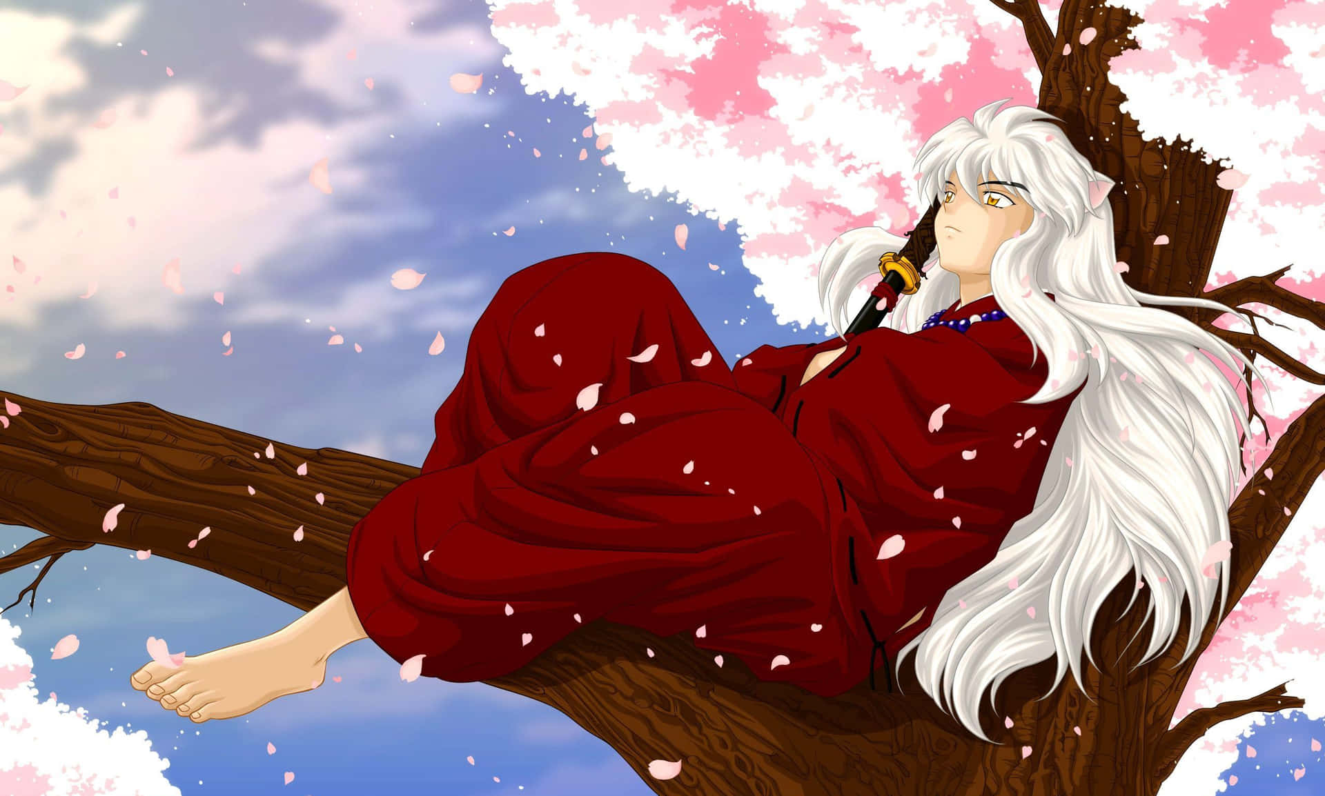 Inuyasha, a mighty half-demon on a quest to restore a powerful ancient jewel.